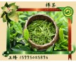 長期供應綠茶香味納米膠囊