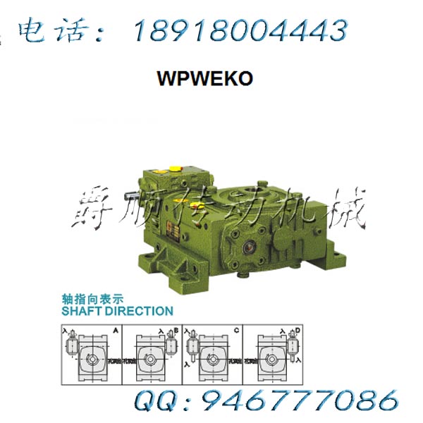 WPWEKO60-100-1/900-A老式蝸輪蝸桿減速機(jī)