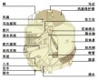 中山沙朗鎮(zhèn)冷卻水塔 港口鎮(zhèn)冷卻水塔