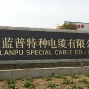 鐵路計(jì)軸電纜-安徽藍(lán)普特種電纜有限公司