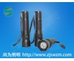 SW2101強光手電_SW2101生產(chǎn)廠家_SW2101價格