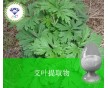 廠家供應(yīng)產(chǎn)品上市 艾葉提取物