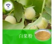 供應(yīng) 白果粉 產(chǎn)地加工|生產(chǎn)廠家