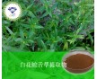 供應(yīng) 白花蛇舌草提取物