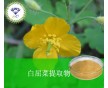 廠家供應(yīng)白屈菜提取物