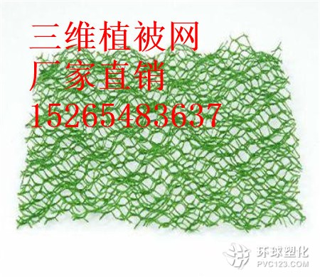 三沙三維植被網(wǎng)批發(fā)15265483637